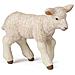 Figurina Agnello Merino - Foto miniatura 1