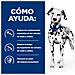 605840 cibo umido per cani Manzo Universale 10 kg - Foto miniatura 4