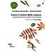 Guidalberto Bormolini - Vivere il Cantico delle creature. La spiritualità cosmica e cristiana di san Francesco - Foto miniatura 1