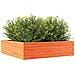Fioriera Giardino Marrone Cera 90x90x23 cm Legno Massello Pino - Foto miniatura 8
