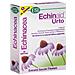 Echinaid urto 30capsule - Foto miniatura 4