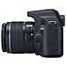 EOS 1300D Kit + EF-S 18-55 IS II Sensore CMOS 18 Mpx Display 3" Filmati Full HD Wi-Fi NFC - Foto miniatura 5