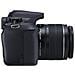 EOS 1300D Kit + EF-S 18-55 IS II Sensore CMOS 18 Mpx Display 3" Filmati Full HD Wi-Fi NFC - Foto miniatura 6
