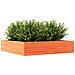 Fioriera Giardino Marrone Cera 110x110x23cm Legno Massello Pino - Foto miniatura 7