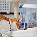 Distributore Di Cibo Secco Crocchette Per Cani E Gatti 3 Litri Zenith Pratica Mangiatoia Dispenser Cibo Biscotti Per Animali, Serbatoio Trasparente Con Coperchio, Fondo Antiscivolo, 20,2 X 29,2 X H 28,8 Cm Blu - Foto miniatura 3