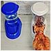 Distributore Di Cibo Secco Crocchette Per Cani E Gatti 3 Litri Zenith Pratica Mangiatoia Dispenser Cibo Biscotti Per Animali, Serbatoio Trasparente Con Coperchio, Fondo Antiscivolo, 20,2 X 29,2 X H 28,8 Cm Blu - Foto miniatura 5