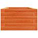 Fioriera Giardino Marrone Cera 90x40x23 cm Legno Massello Pino - Foto miniatura 6