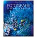 Vincenzo Paolillo - Fotografie di mondi sommersi. L'incanto del profondo. Ediz. illustrata - Foto miniatura 1