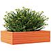 Fioriera Giardino Marrone Cera 90x60x23 cm Legno Massello Pino - Foto miniatura 3