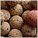 Meisenknödel Premium Con Insetti 100 X Ca. 90 Grammi Con Rete - Foto miniatura 1