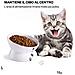 Ciotola per gatti, Ciotole per cibo per gatti inclinate rialzate - Foto miniatura 4