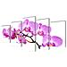 5 Pz Set Stampa Su Tela Da Muro Orchidèa 200 X 100 Cm - Foto miniatura 1