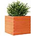 Fioriera Giardino Marrone Cera 50x50x45,5cm Legno Massello Pino - Foto miniatura 2