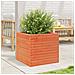 Fioriera Giardino Marrone Cera 50x50x45,5cm Legno Massello Pino - Foto miniatura 3