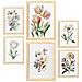 Set Di 6 Stampe Fiori Pastello Stampe Naturalistiche E Botaniche A Colori Con Motivi Floreali Su Sfondi Bianchi Puri A3 & A4 Telaio In Legno Chiaro - Foto miniatura 1