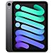 iPad mini 6 (2021) A15 8.3" 64Gb WiFi+Cellular 5G Grigio Siderale - Foto miniatura 1