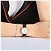 Orologio Da Donna Classy York Dw00100069 + Box - In Arrivo - Foto miniatura 12