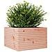 Fioriera da Giardino 70x70x45,5 cm in Legno Massello di Douglas - Foto miniatura 3