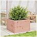 Fioriera da Giardino 70x70x45,5 cm in Legno Massello di Douglas - Foto miniatura 7