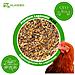 25 Kg Premium Legemehl Plus Con Origano - Mangime Per Pollame Per Galline, Oche, Anatre - Foto miniatura 1
