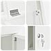 Cassetta per pacchi Bianco 44.5 x 29 x 110.5 cm Acciaio - Foto miniatura 8