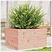 Fioriera da Giardino 80x80x45,5 cm in Legno Massello di Douglas - Foto miniatura 2
