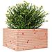 Fioriera da Giardino 80x80x45,5 cm in Legno Massello di Douglas - Foto miniatura 5
