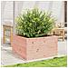 Fioriera da Giardino 80x80x45,5 cm in Legno Massello di Douglas - Foto miniatura 7