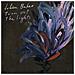 Julien Baker - Turn Out The Lights  - Foto miniatura 1