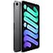 iPad mini 6 (2021) A15 8.3" 256Gb WiFi Grigio Siderale - Foto miniatura 2