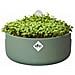 Vaso Magic Microgreens Rotonda Verde Plastica Ø 16 Cm - Foto miniatura 4