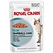 Cibo per gatti Hairball Care in Salsa 85 gr - Foto miniatura 1