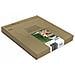C13T12854511 Cartuccia Ink Originale Multicolore per Stylus Office BX305F - Foto miniatura 3