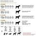 Collare Per Cani Disney Nero M /l - Foto miniatura 6