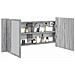 Armadietto Specchio con LED da Bagno Grigio Sonoma 100x12x45 cm - Foto miniatura 1