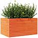 Fioriera Giardino Marrone Cera 90x60x45,5cm Legno Massello Pino - Foto miniatura 2