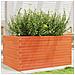 Fioriera Giardino Marrone Cera 90x60x45,5cm Legno Massello Pino - Foto miniatura 8