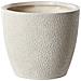 Vaso Per Piante Kannia 36 Cm Bianco Sporco - Foto miniatura 2
