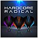 Hardcore Radical Black Viola Di Forte Spessore Standard Dart Voli - 4 Set Per Confezione (12 Dart Voli In Totale)  - Foto miniatura 3