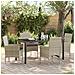 Set da Pranzo per Giardino 5 pcs Grigio chiaro Poly Rattan - Foto miniatura 2