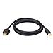 6-ft. USB AA Gold Extension Cable, USB A, USB A, 1,8m - Foto miniatura 1