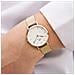 Orologio Da Donna Dw00100348 - Petite Evergold 32mm - In Attesa Di Arrivo - Foto miniatura 9