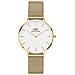 Orologio Da Donna Dw00100348 - Petite Evergold 32mm - In Attesa Di Arrivo - Foto miniatura 1