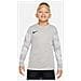 Maglia Dri-Fit Park Iv Goalkeeper Cj6072-052 Bambino Taglia S Colore Grigio - Foto miniatura 1