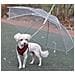 Ombrello Guinzaglio Cane Riparo Pioggia Impermeabile Trasparente Asciutto Cani - Foto miniatura 1