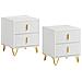 Set Di 2 Comodini Da Letto Con 2 Cassetti, Tavolino Da Salotto - Cassettiera Moderna Bianca - Foto miniatura 1