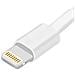 Cavo da Lightning a USB da 0.5 Metri - Foto miniatura 3