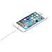 Cavo da Lightning a USB da 0.5 Metri - Foto miniatura 6