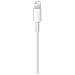 Cavo da Lightning a USB da 0.5 Metri - Foto miniatura 5