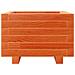 Fioriera Giardino Marrone Cera 40x40x26,5cm Legno Massello Pino - Foto miniatura 3